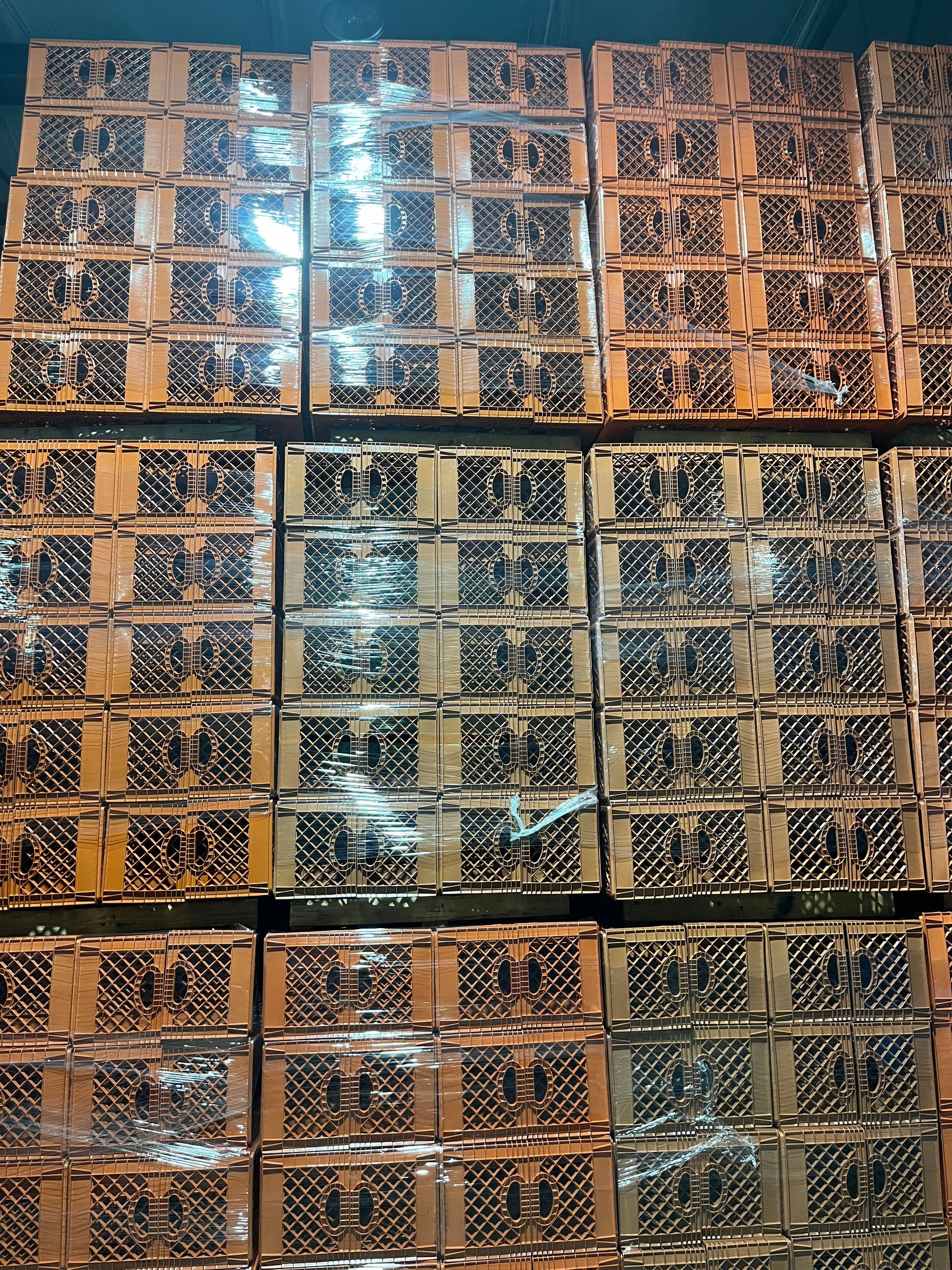 Plastic Crate for Milk