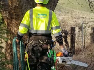 Worker in neon safety jacket holding a chainsaw beside a tree on a rural hillside.
