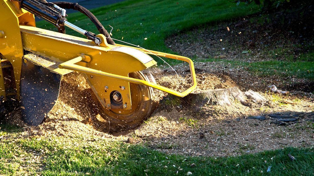 Yellow lawn mower cutting grass, spraying clippings on a green lawn.