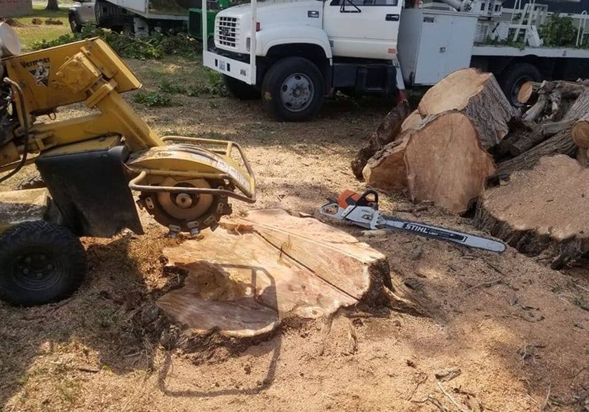 Construction equipment cutting a large tree stump beside a truck and pile of logs on dirt ground