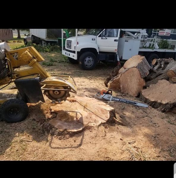 Yellow skid steer lifting a slab beside a white utility truck and cut tree logs in a yard
