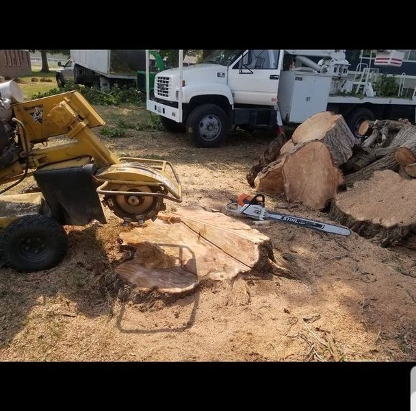 Yellow construction wheelbarrow beside a tree stump, white truck, and dirt-covered worksite debris