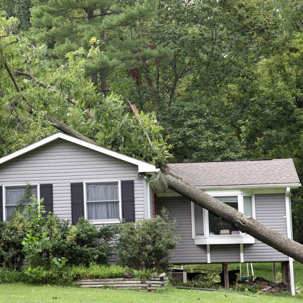 Gray house with a large tree fallen across the roof in a wooded yard