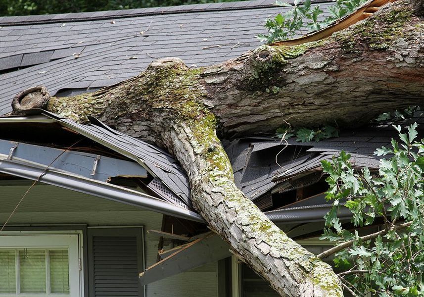 Large fallen tree trunk crushing a house roof and eaves