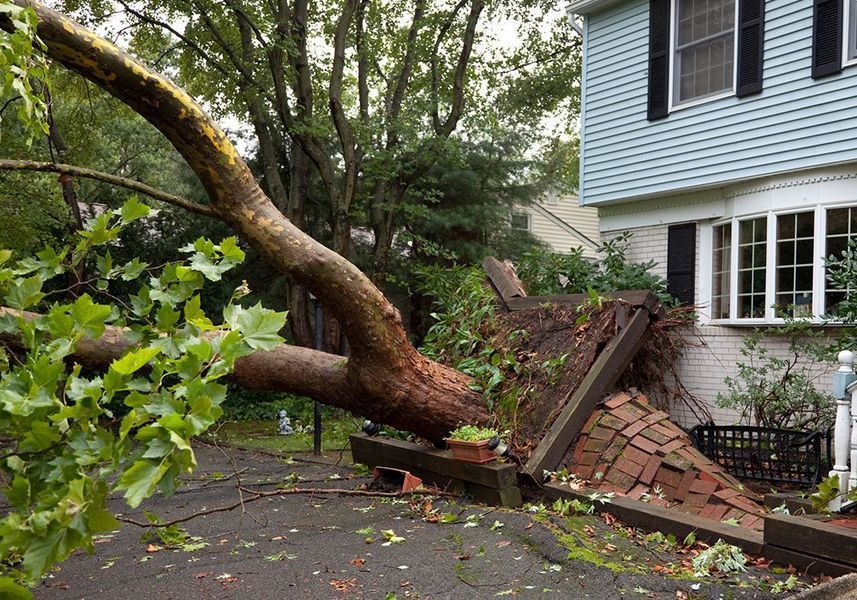 Fallen tree blocking a driveway beside a house, with damaged brick wall and scattered debris