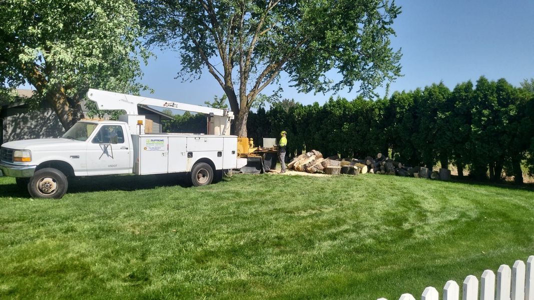 White utility truck parked on a grassy yard beside a pile of cut branches and trees under a clear sky