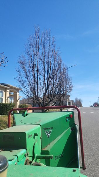 Green utility machine parked on a quiet street beside houses under a clear blue sky