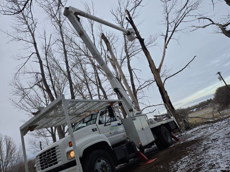 White utility truck with raised boom equipment in a muddy rural field among bare trees