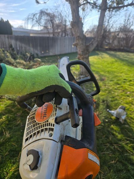Gloved hand holding an orange-and-black chainsaw in a sunny backyard