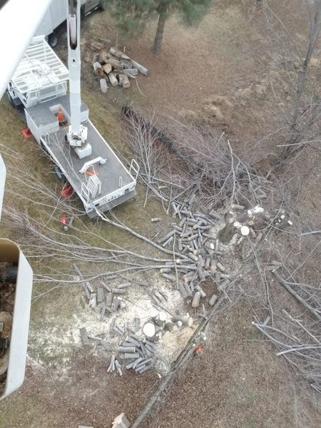 Aerial view of a crane truck removing a fallen tree and branches from a yard with mulch piles.