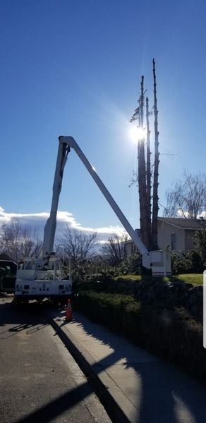 Two white utility cranes near a building, one arm raised against a bright blue sky and sun.