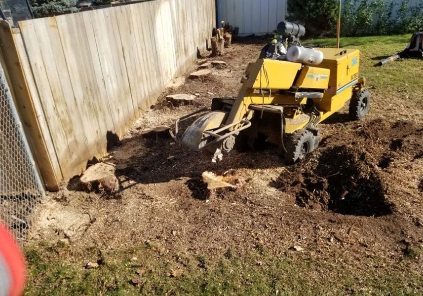Yellow mini excavator digging soil beside a wooden fence in a sunny yard.