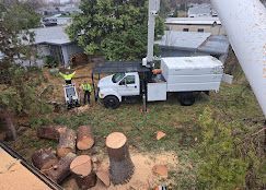 Worker in high-vis vest beside white utility truck in a wooded yard with cut logs and a large tree trunk