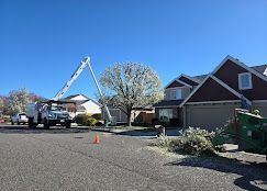 Utility truck with raised boom on a suburban street beside houses and a large tree under a clear blue sky