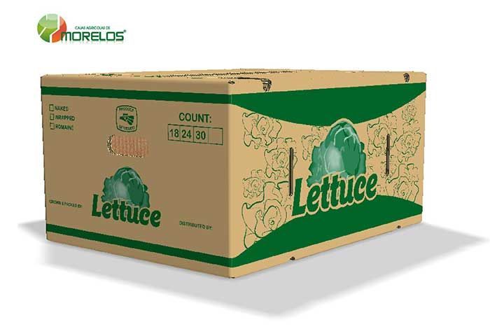 LECHUGA