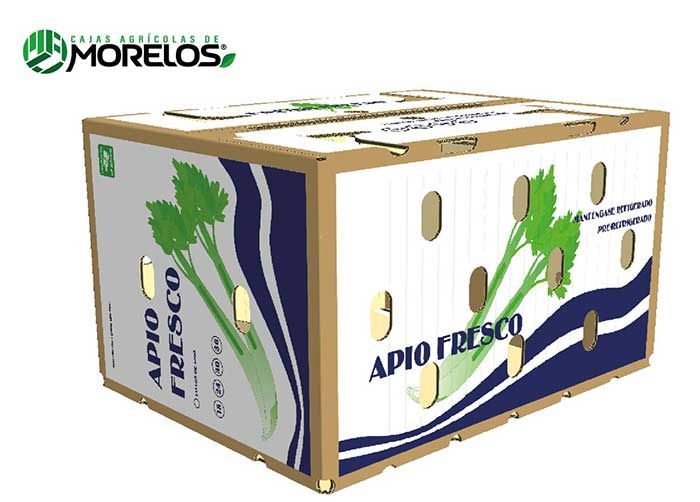 APIO