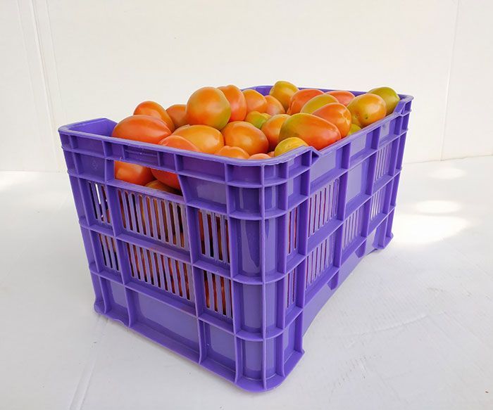 CAJA PLASTICA 20 K