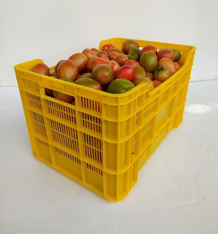 CAJA PLASTICA 30 KILOS