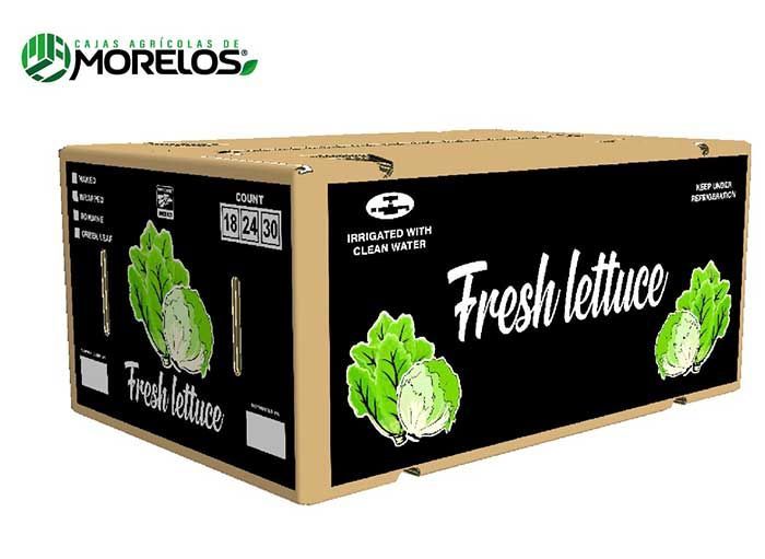 LECHUGA