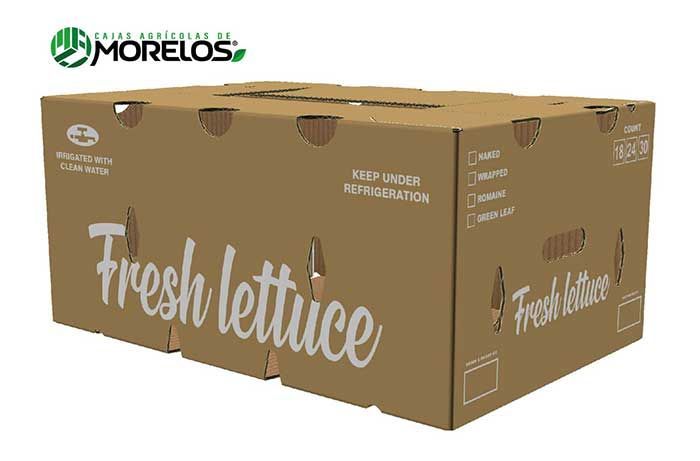 LECHUGA