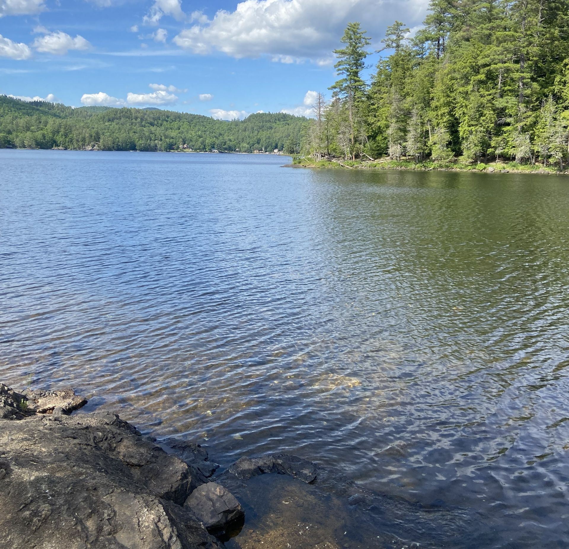 Clear freshwater lake with rocky shore and surrounding evergreen forest.