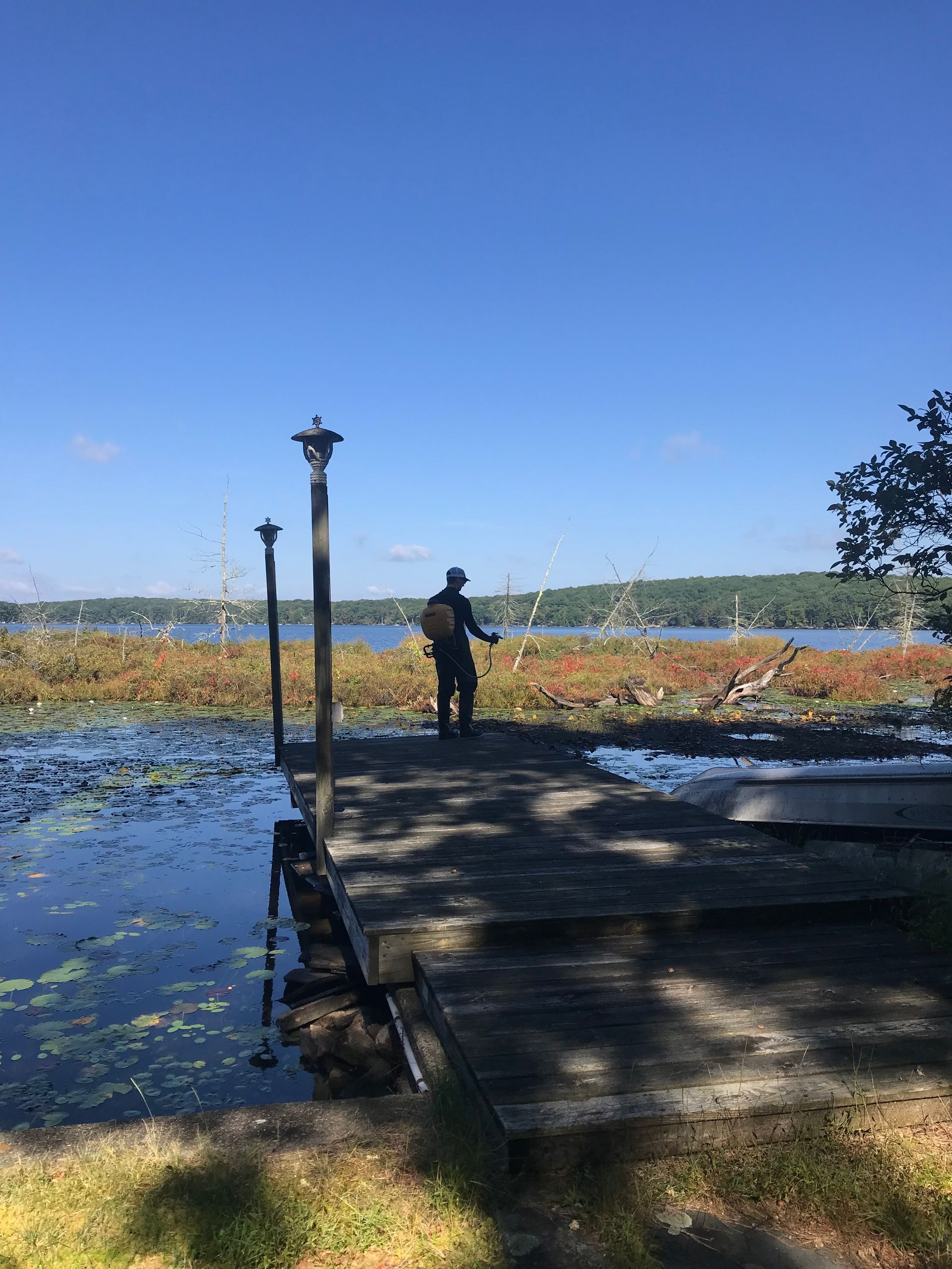 Person standing by a lakeshore under a clear blue sky, with lampposts and water in the foreground