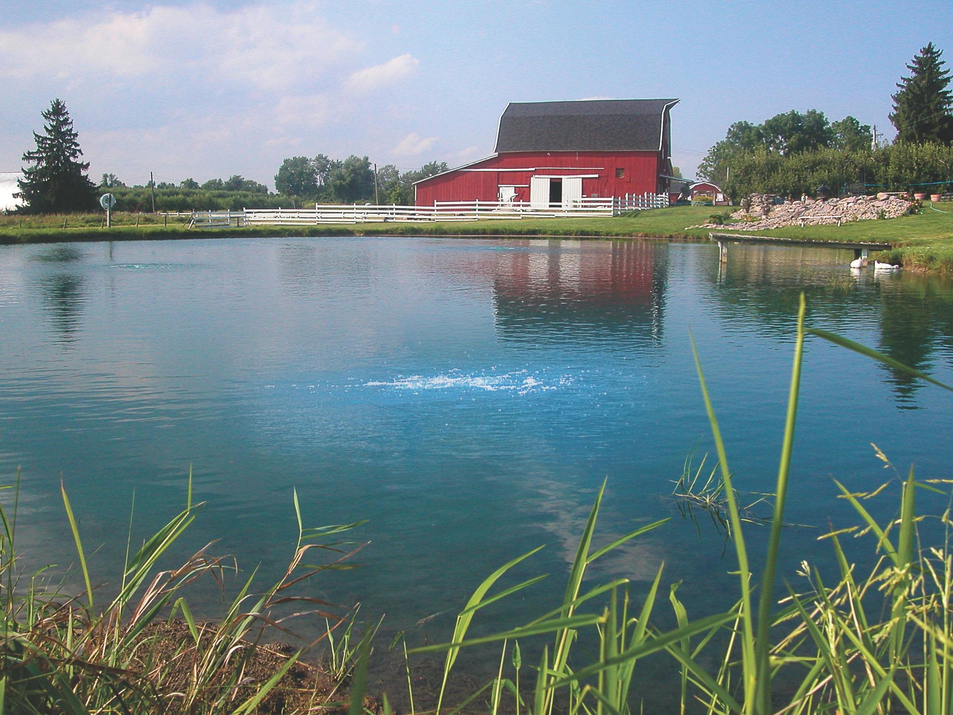 Airmax Aeration System installed in a farm pond to improve water quality.