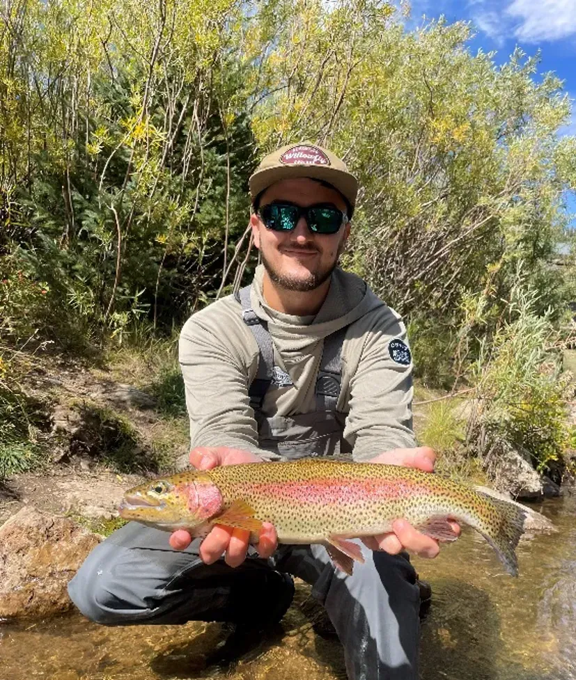 Bredon Bixby, Project Manager at Ready Scout, wearing a cap, sunglasses, and waders holds a large, colorful trout in a stream surrounded by trees.