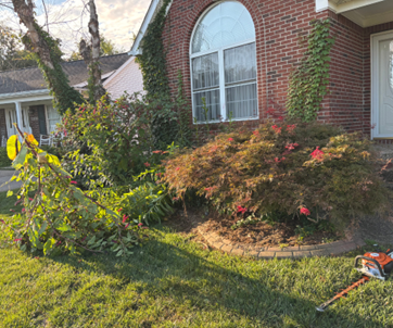 A fallen tree branch lies on a front lawn near a brick house with a bush and tree.