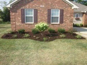 A brick house with brown shutters, a landscaped bed with mulch and plants, and a green lawn.