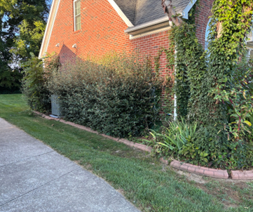 Brick house with green hedge along side, next to a sidewalk and grass.