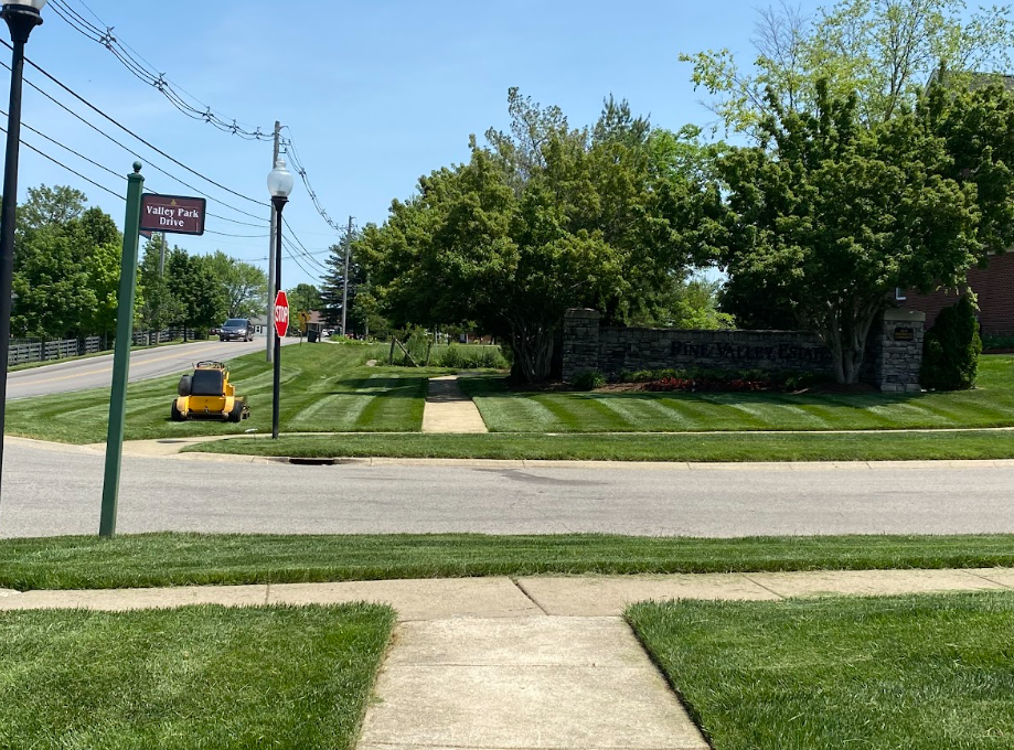 A street corner with a freshly mowed lawn, a small yellow lawnmower, and trees on a sunny day.