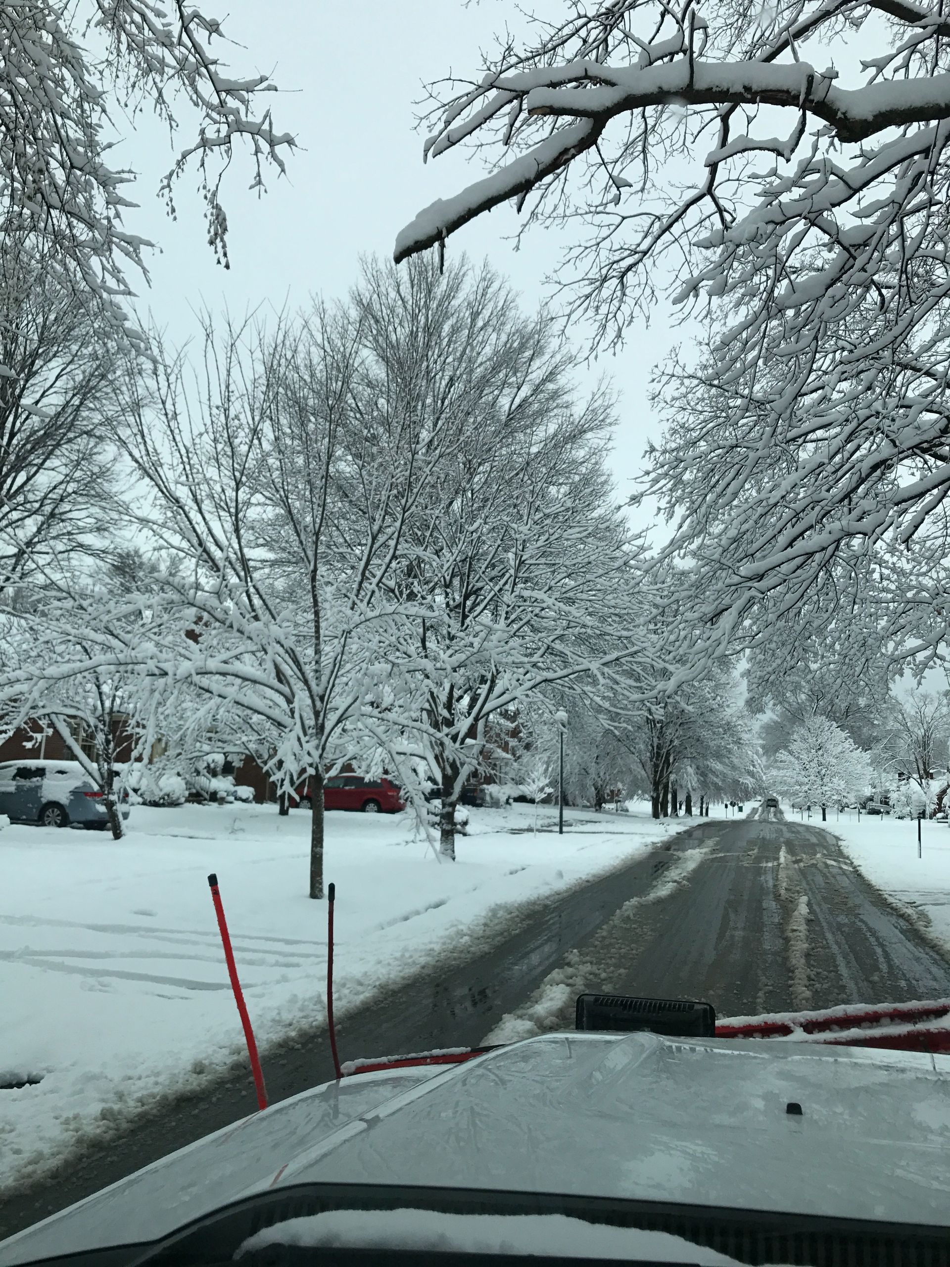 Snow-covered suburban street with trees, a red mailbox, and a car hood in the foreground.