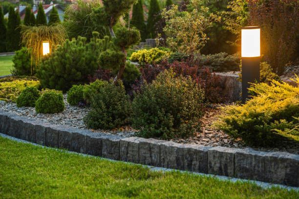 Stylish modern outdoor LED landscape lighting design enhancing garden ambiance at night.