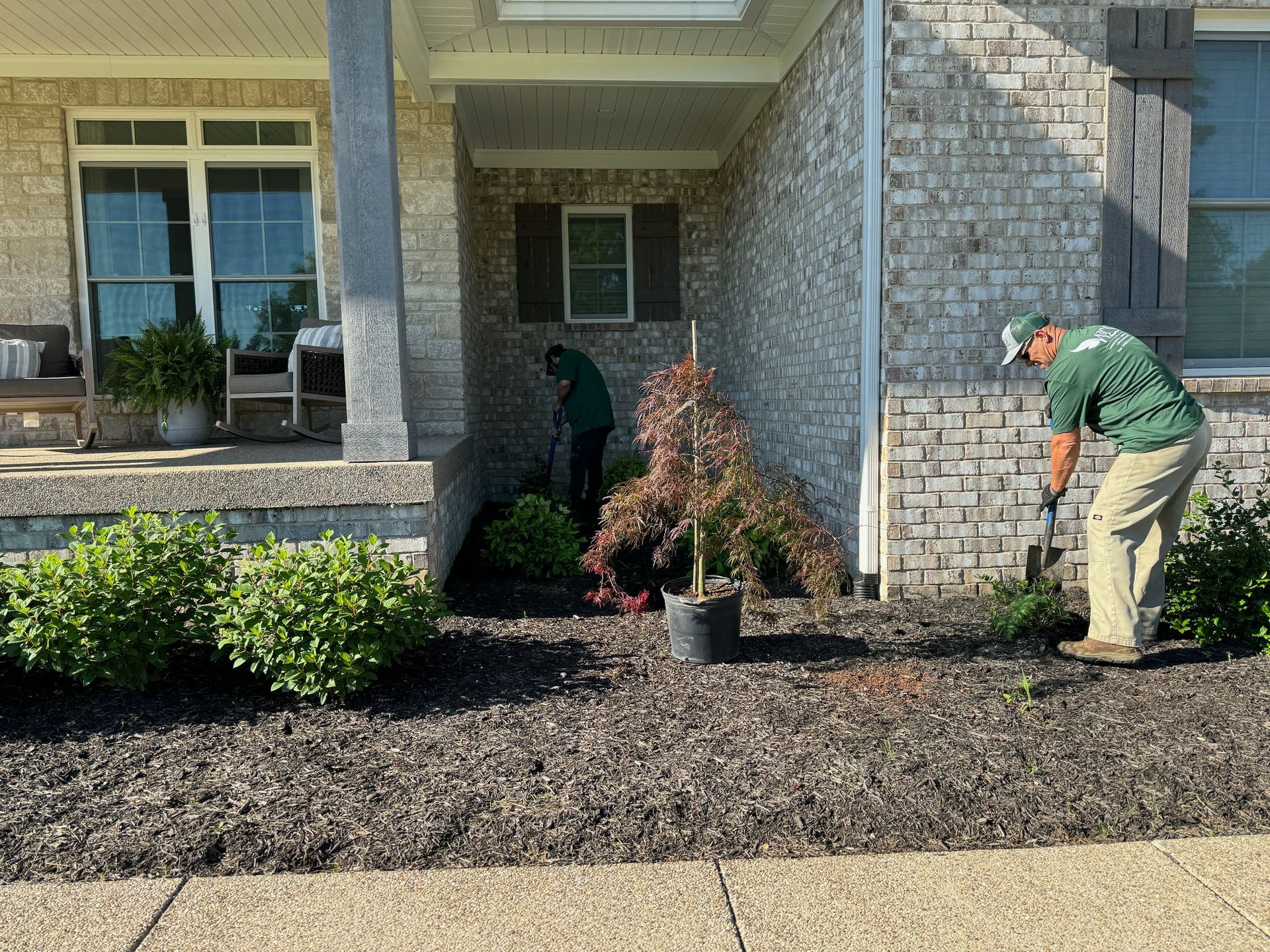 Two landscapers planting shrubs in front of a brick house. One is digging while the other is trimming plants.