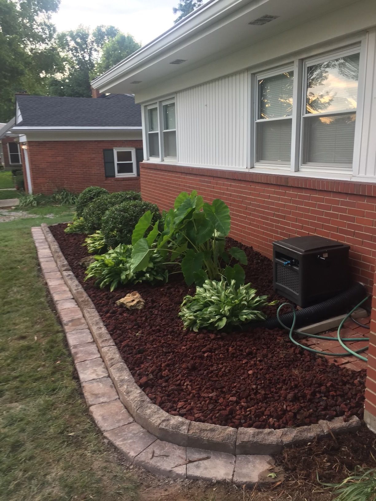 A landscaped flower bed with brown mulch and plants is next to a red brick house.