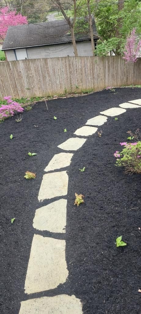 A stone path winds through a garden with black mulch. Pink flowering trees and a wooden fence border the path.