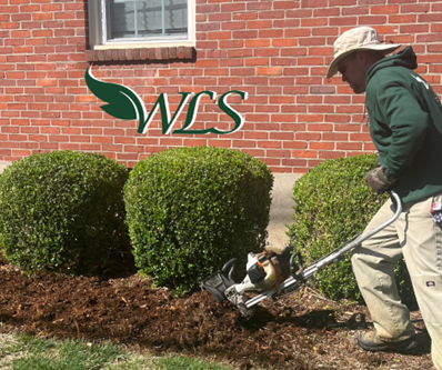 Man mulches with a machine next to trimmed shrubs, in front of a brick building with