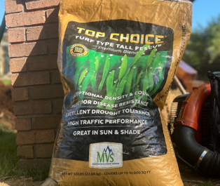Yellow bag of Top Choice tall fescue lawn seed leaning against a brick wall outdoors.