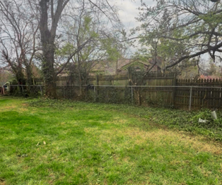 A chain-link fence sits in front of a wooden fence in a grassy backyard with trees.