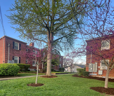 Red brick apartment buildings with green lawns and trees in spring bloom.