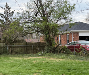 A red car is parked beside a brick garage in a suburban backyard. A large tree with sparse leaves stands nearby, enclosed by a wooden fence.