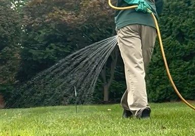 Person standing on a grassy lawn spraying water from a hose, which is unexpectedly directed through their pants.