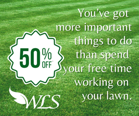 Advertisement with a green lawn background. Features a 50 off promotion for lawn care services. Text: You've got more important things to do than spend your free time working on your lawn.