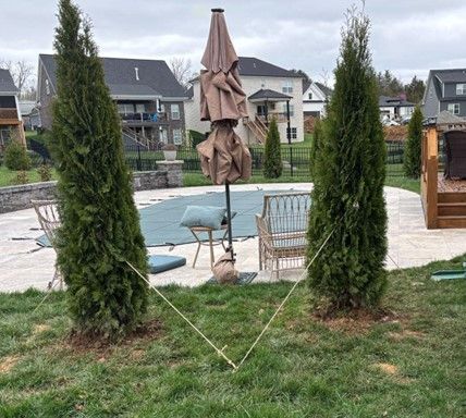 Two tall evergreen trees flank a pool area, connected by string for support. An umbrella and patio furniture sit nearby.