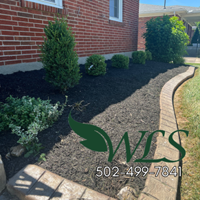 A flower bed with dark mulch, brick edging, and various green plants. The WLS landscaping logo and phone number are visible.