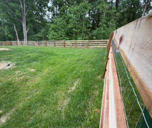 Grassy yard with a wooden fence and trees, viewed along a close-up wire fence on the right.