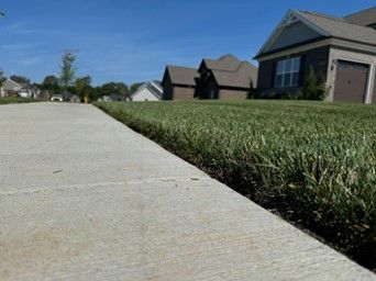 A low-angle view of a concrete sidewalk bordering a well-manicured green lawn in a suburban neighborhood with houses.