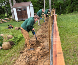 Workers digging along a wooden fence beside a small shed in a grassy yard. Workers digging along a wooden fence beside a small shed in a grassy yard.