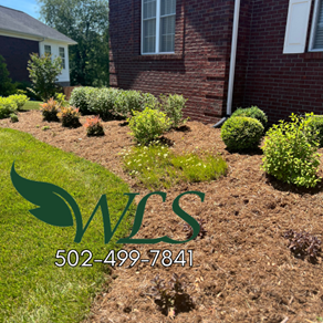 A professionally landscaped yard featuring mulch, shrubs, and green grass. A business logo with a phone number is in the foreground.